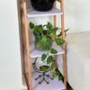étagère en bois hâter